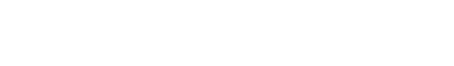 Zenlix AI